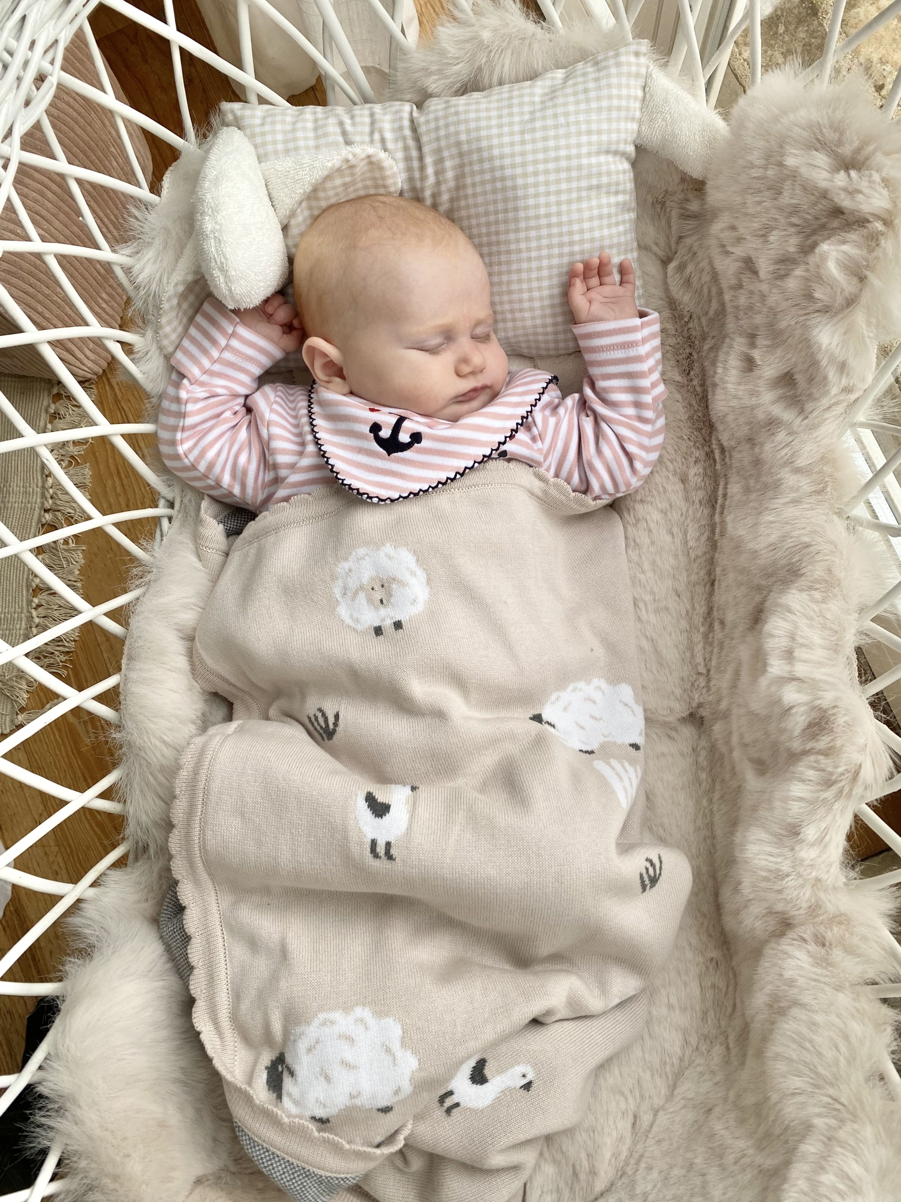 Baby Strickdecke Schafe Sand aus Baumwolle unisex| Hansekind